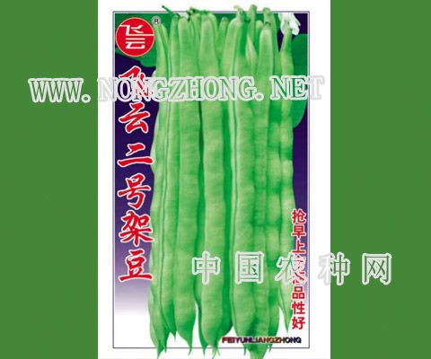 飞云二号架豆